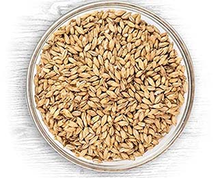 Non Roasted Barley